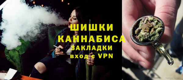 Альфа ПВП Ельня