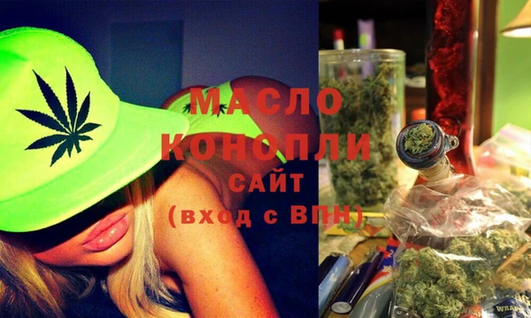 мет Дмитров