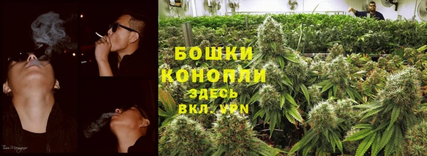 мет Дмитров