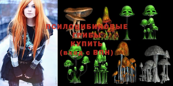 Альфа ПВП Дмитровск