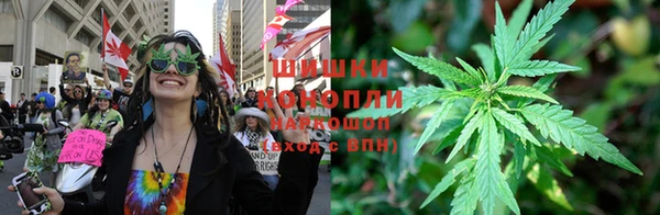 spice Гусь-Хрустальный
