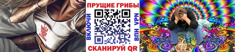 Галлюциногенные грибы мицелий  где купить наркоту  Змеиногорск 